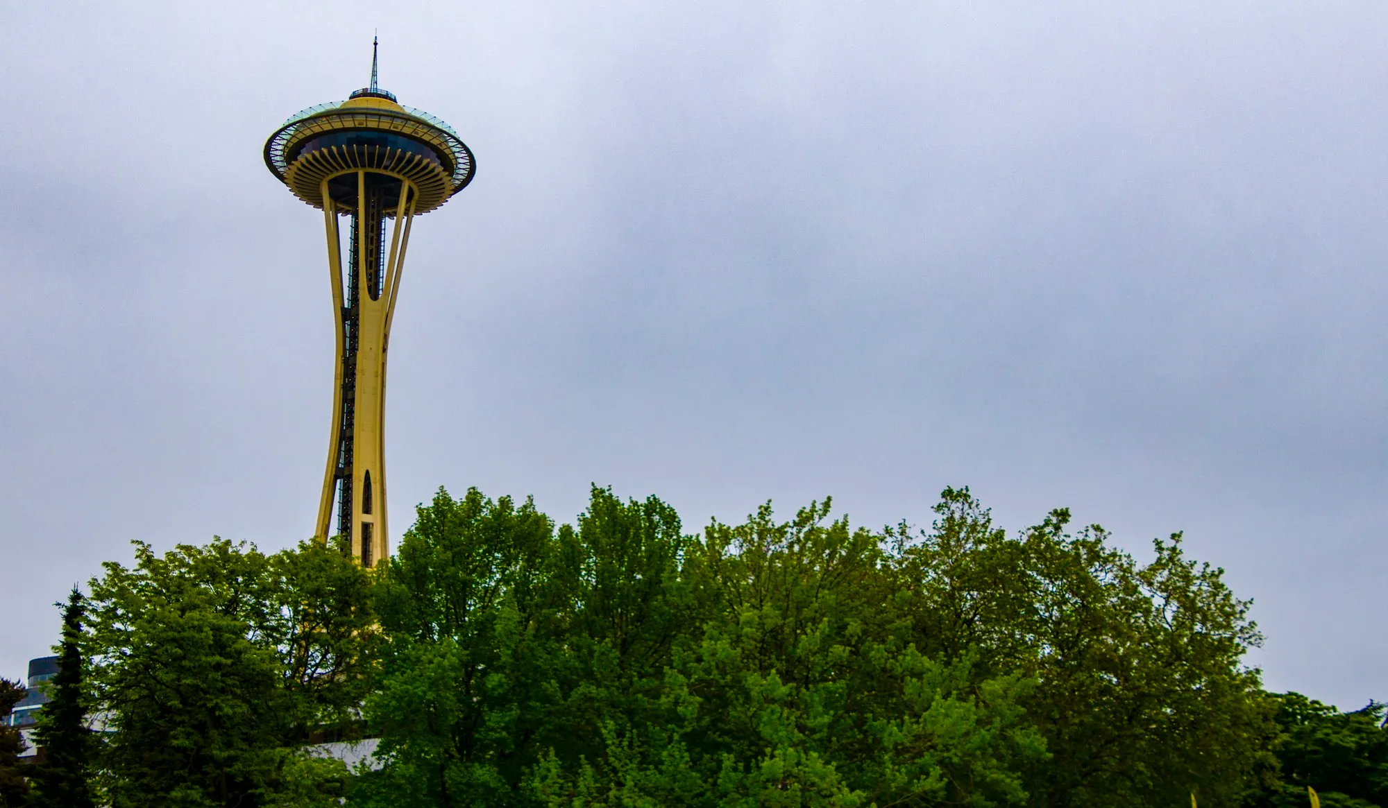 The Space Needle over the trees of Seattle Center at 7:21 in the morning