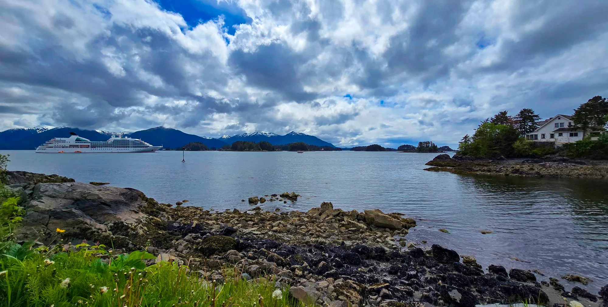 The shoreline downtown in Sitka, wildflowers on the rocks and the ship anchored in the distance