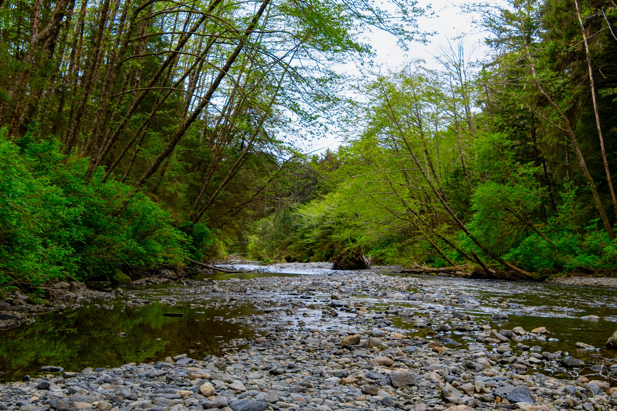 The Indian River beside the Totem Trail in Sitka National Historical Park