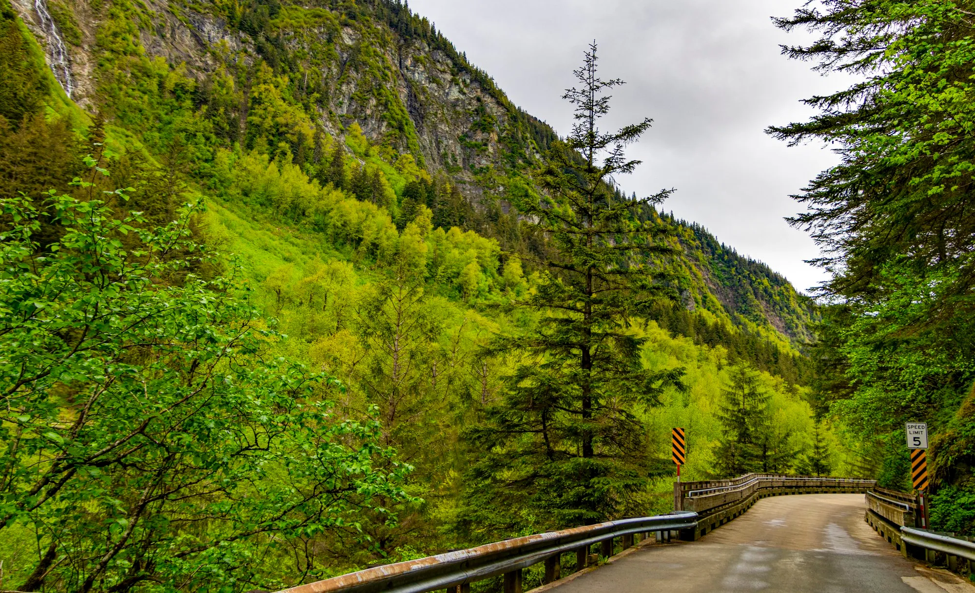 Basin Road above Juneau, a gravel road with green walls on both sides