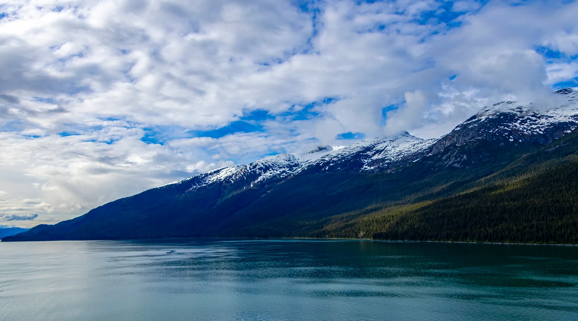 Into Endicott Arm, calm water and the first walls of the fjord