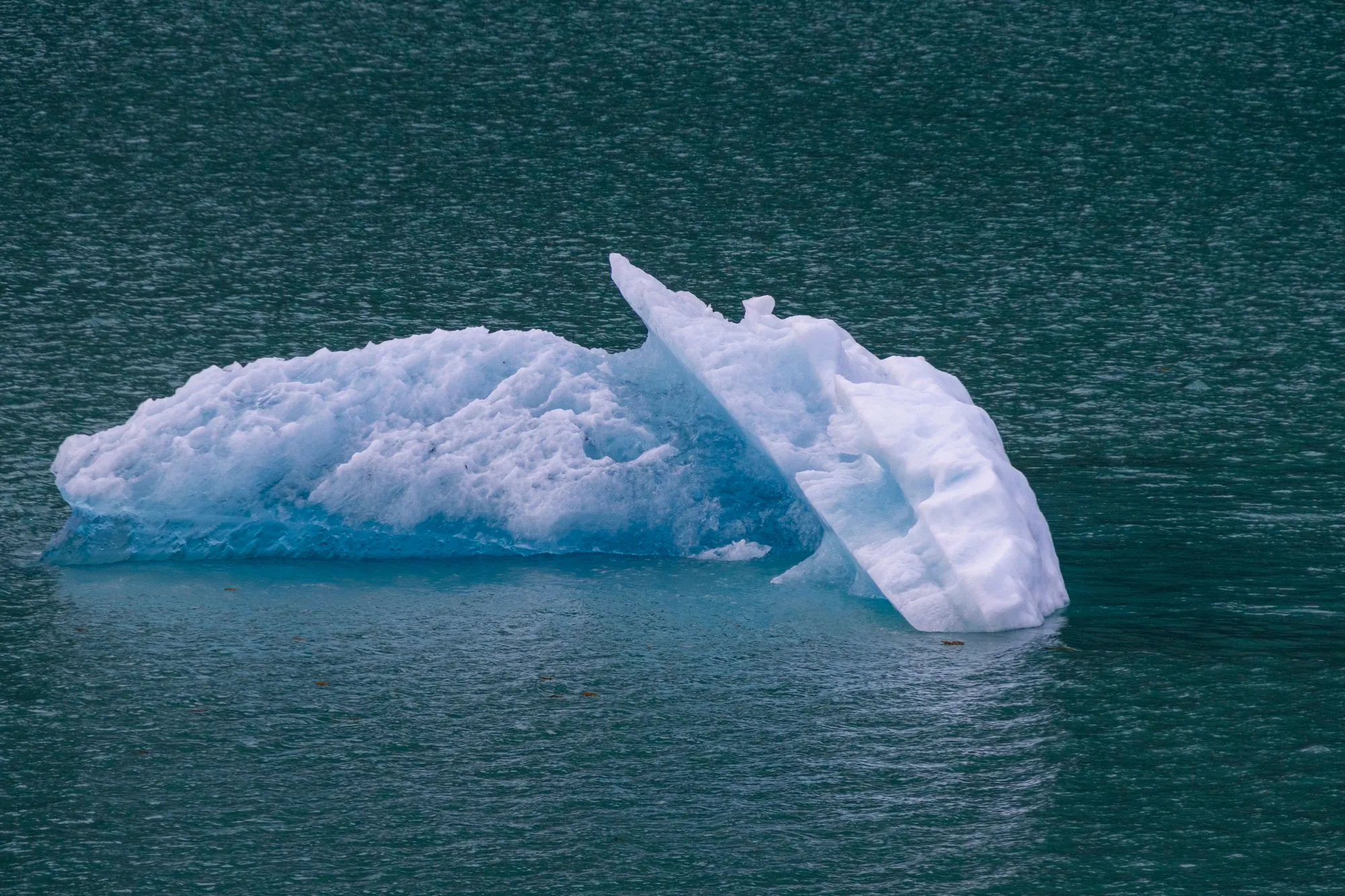 A piece of ice drifting in Endicott Arm, with the lens at 177 mm