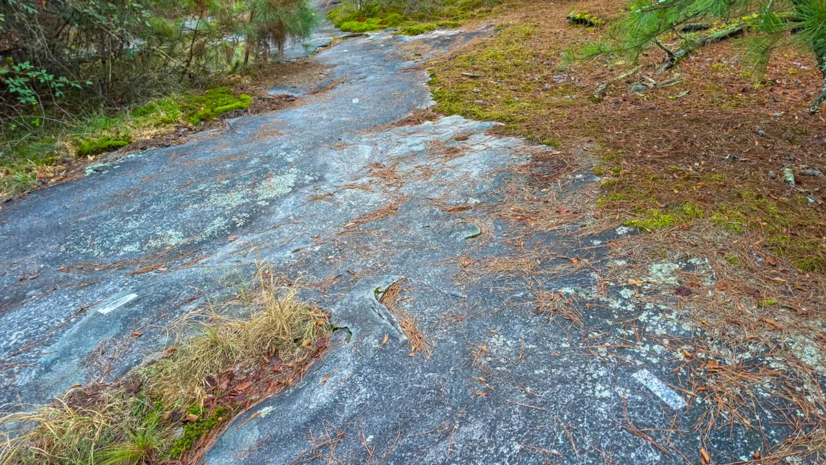 White blazes painted on a slab of dark granite, two lines coming in and one leading up the rock, with woods around it