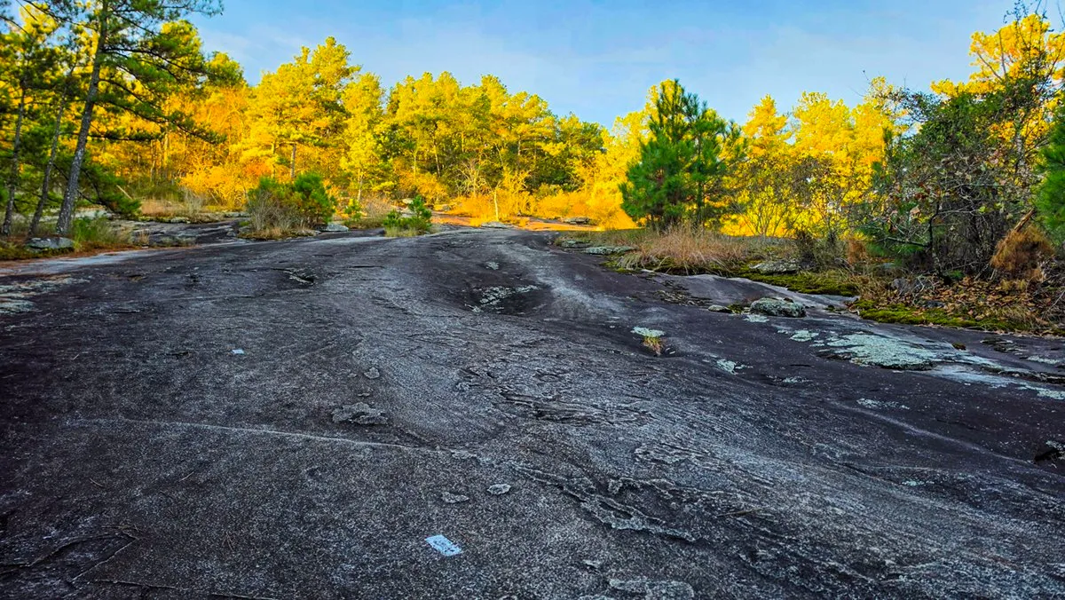 A broad slab of dark granite with a painted white blaze, pines and low-sunlit trees beyond under a blue sky
