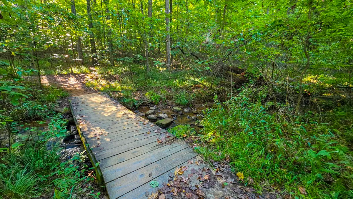 A wooden plank footbridge crossing a small stream in green woods