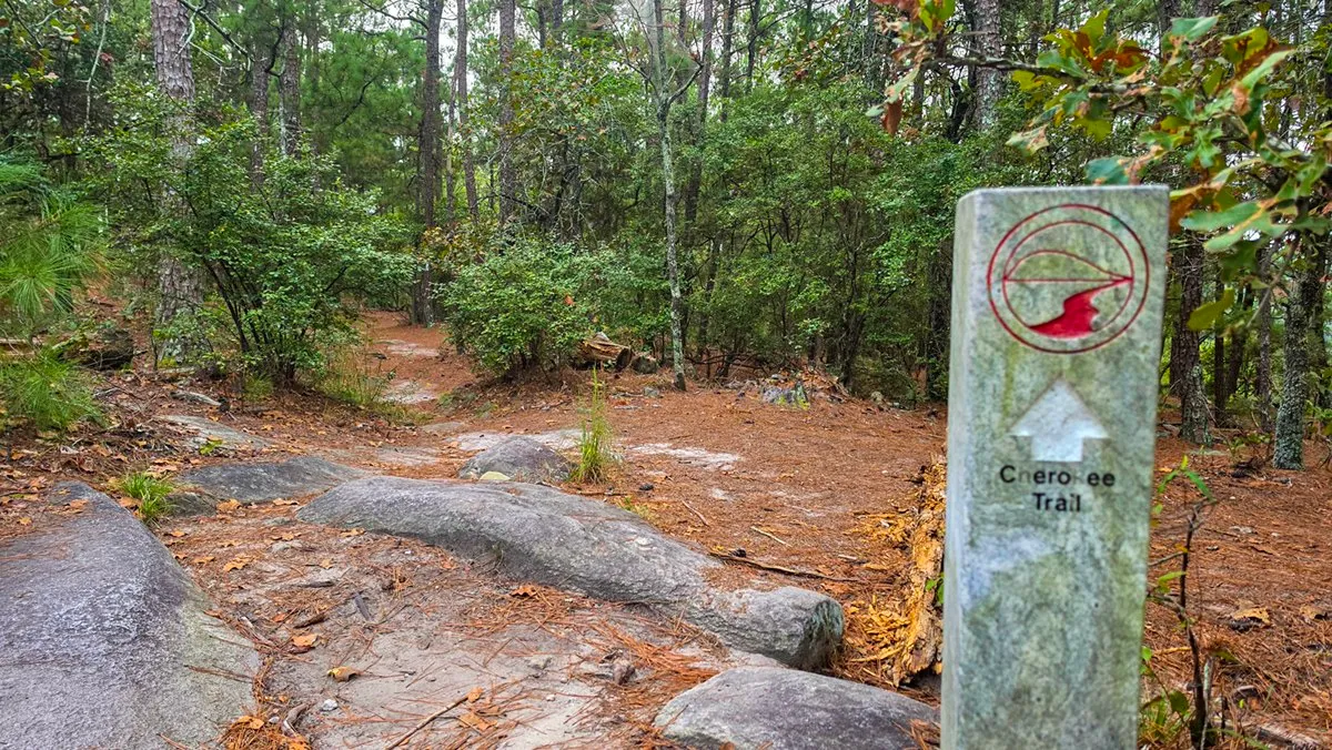 A stone Cherokee Trail marker post with an arrow, standing on granite among pines and shrubs