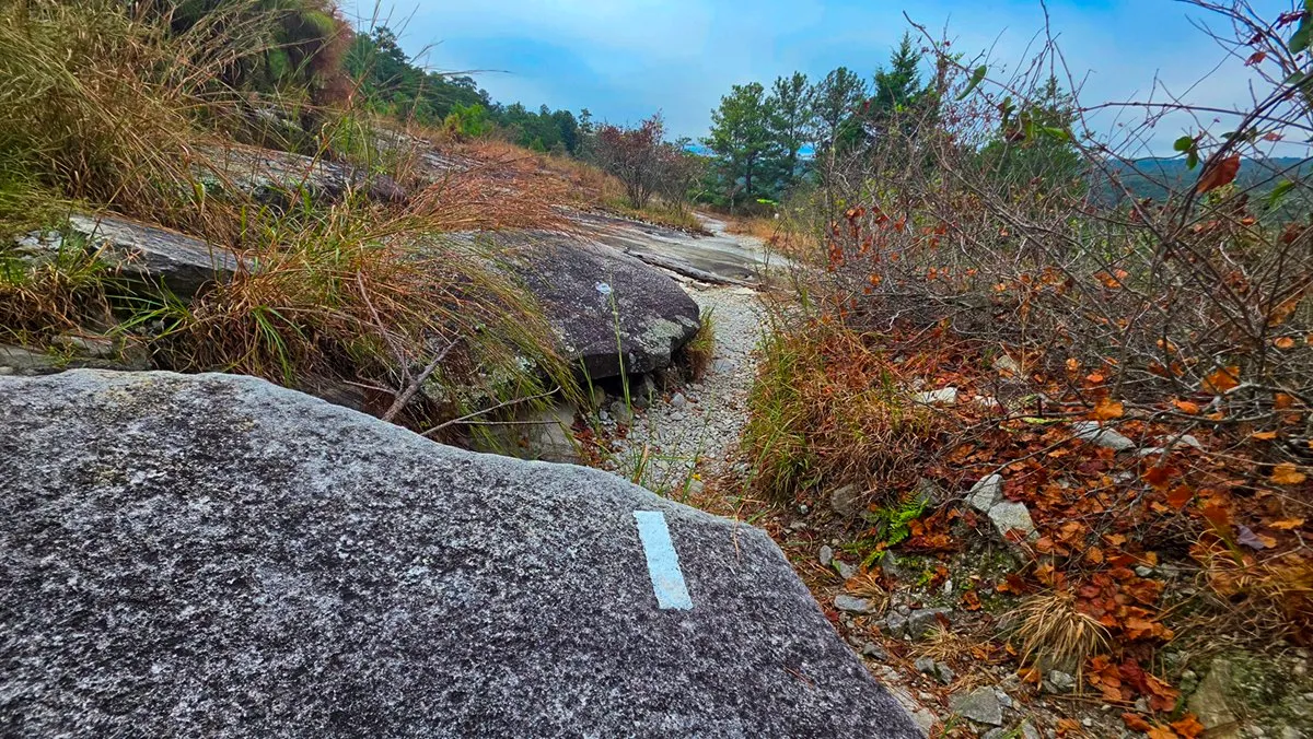 A white blaze painted on a tilted granite slab, with a gravel path running down past it through dry brush