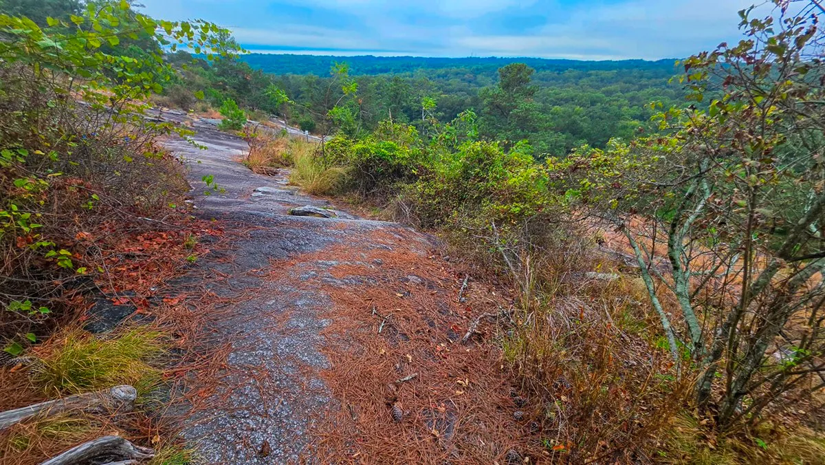 A worn path running down across granite between shrubs, with forested hills and a hazy horizon ahead