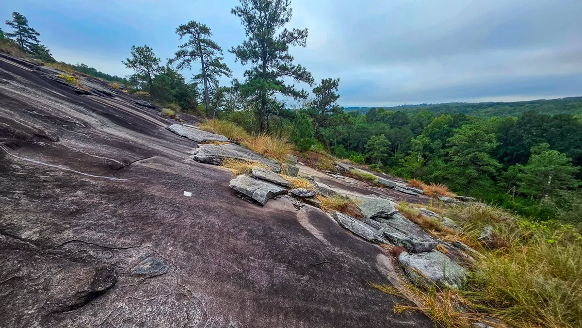Steeply sloping granite with scattered loose slabs, pines and forest below the slope