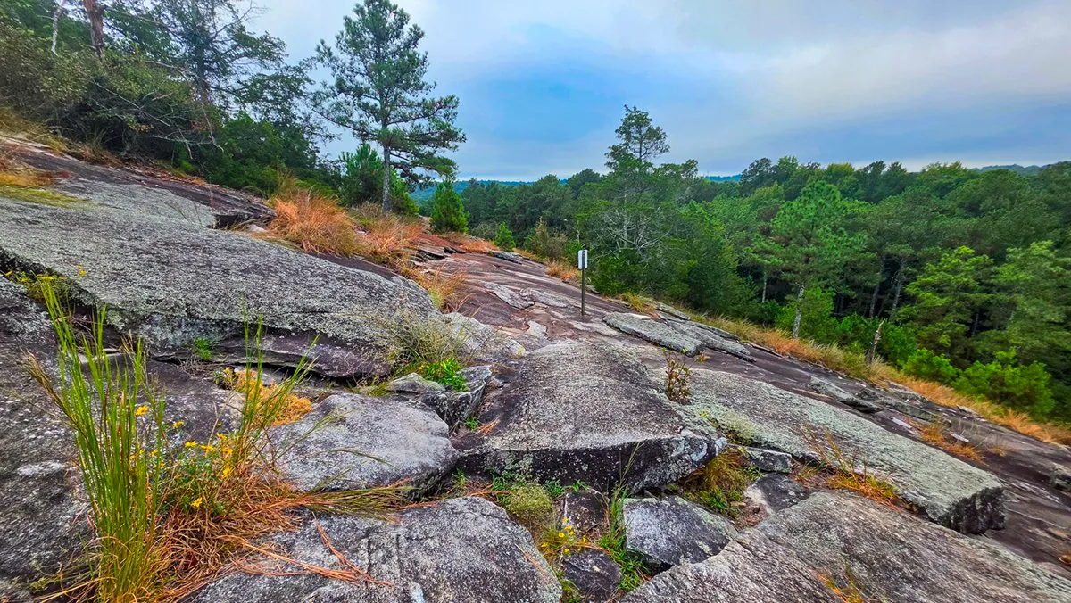 Broken granite ledges and tufts of grass on a slope, a trail post in the distance and forest beyond
