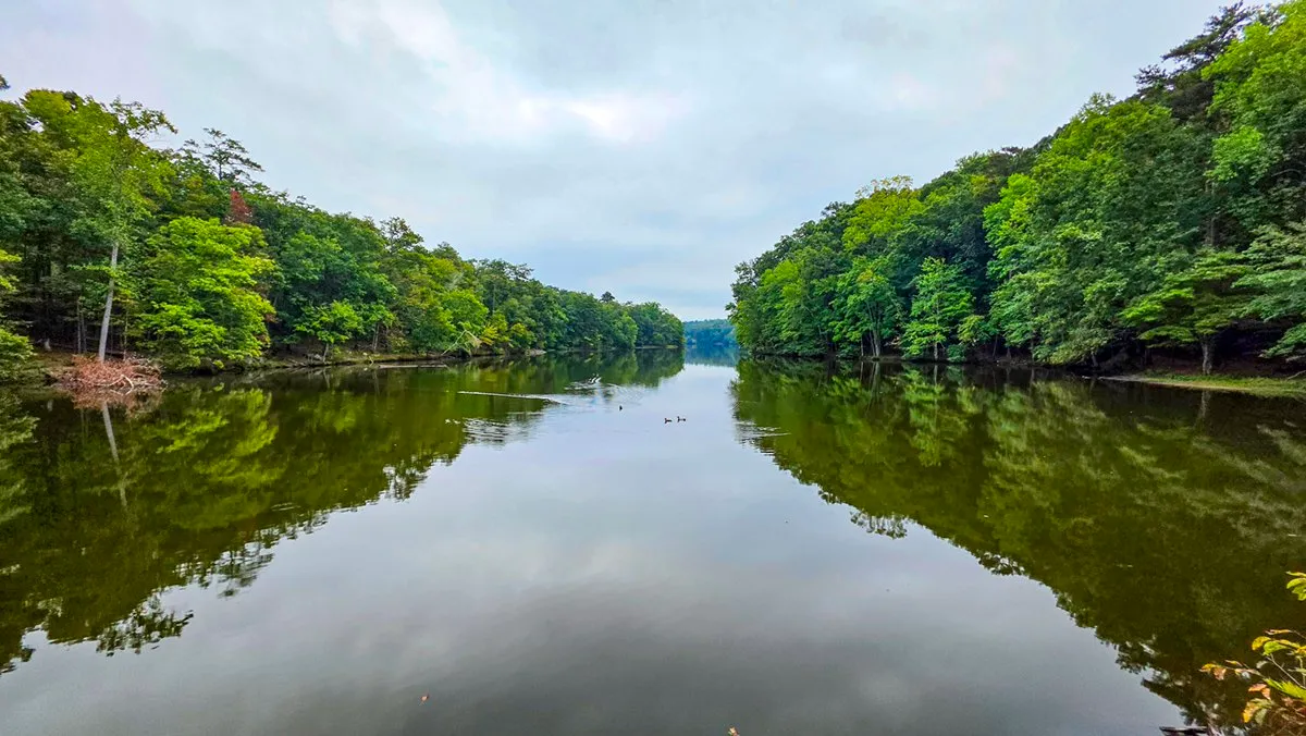 Venable Lake from its west end, the still water reflecting the wooded shores under a gray sky