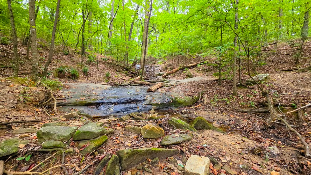 A rocky stream bed crossing the trail through the woods, flat stones among fallen leaves
