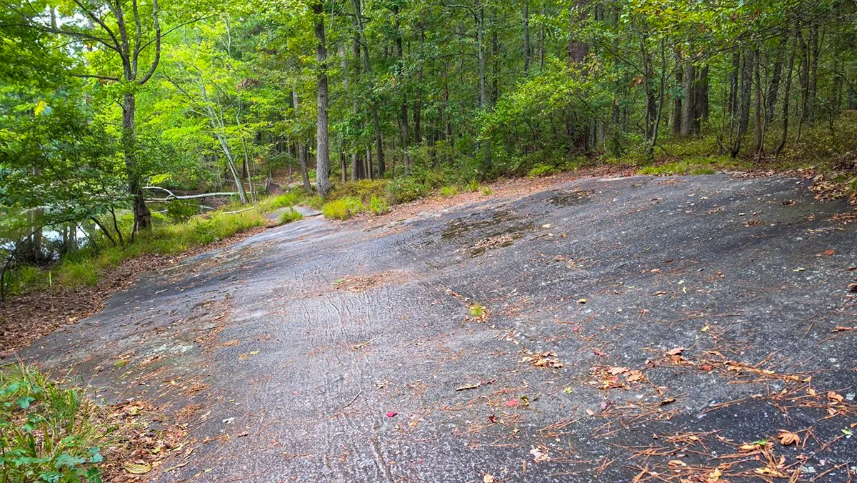 A broad slab of bare gray granite sloping across the trail, woods all around