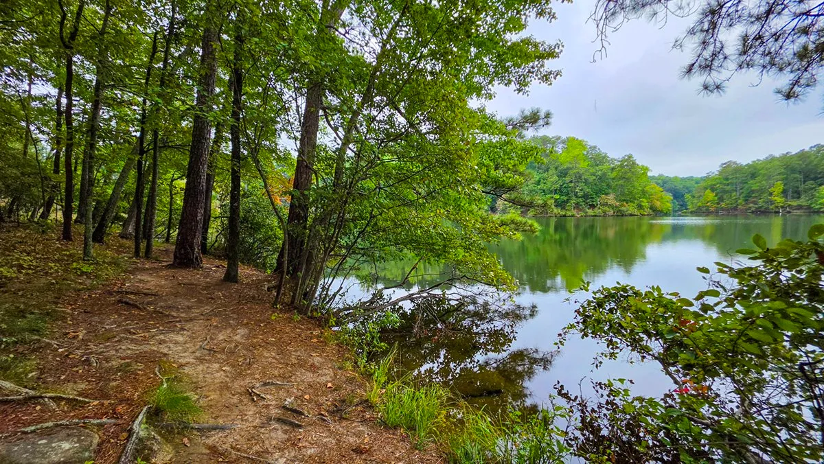The lake through the trees from the shore path, the far shore wooded