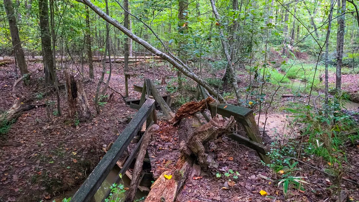 A small wooden footbridge crushed by a fallen tree, its railing broken over a gully