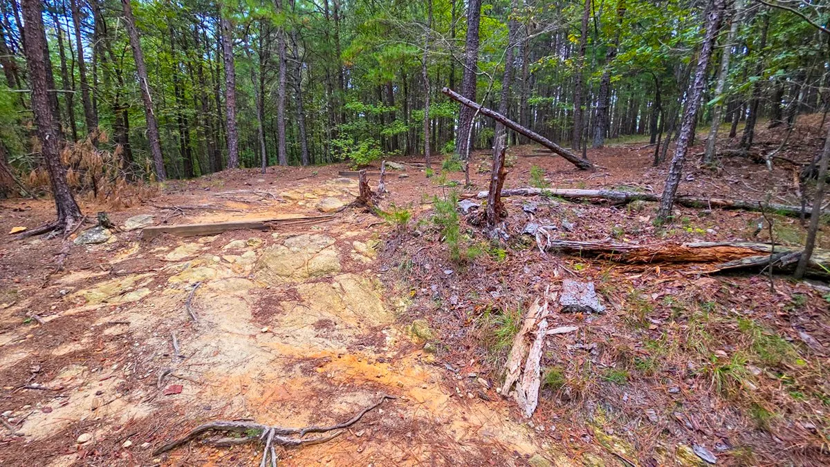 Bare granite and exposed roots on the trail through pine woods