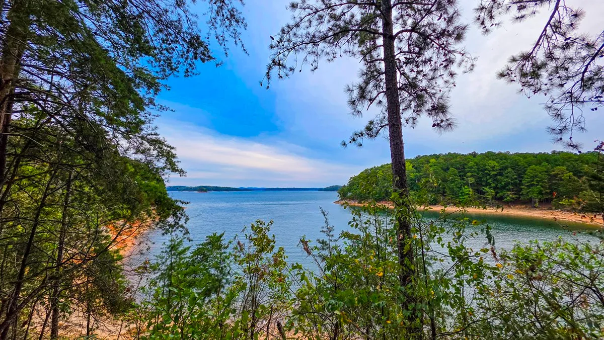 Lake Lanier through the trees from the trail, a sandy beach across a cove and the water low