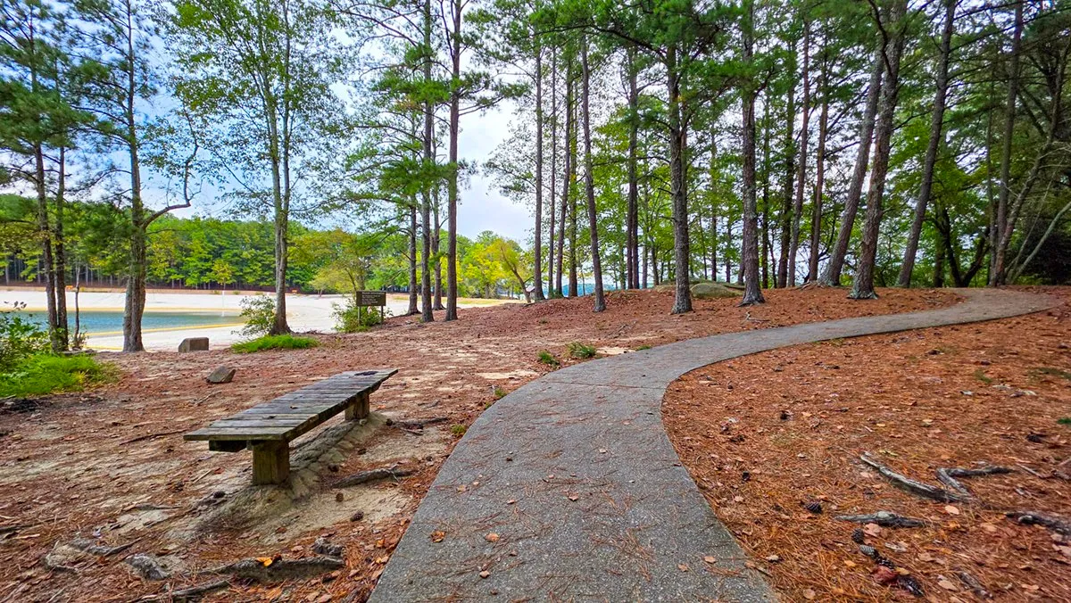A curving concrete path past a bench under the pines, the beach and the lake behind