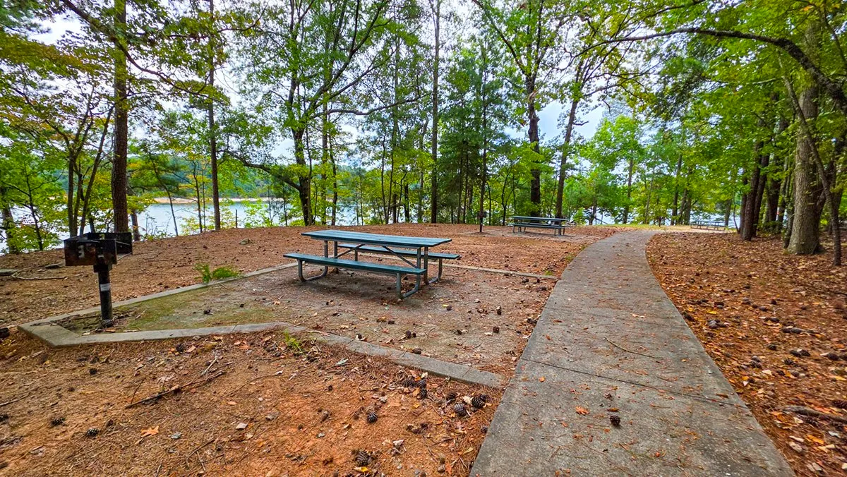 A picnic table and a grill on concrete pads beside a concrete path, the lake through the trees