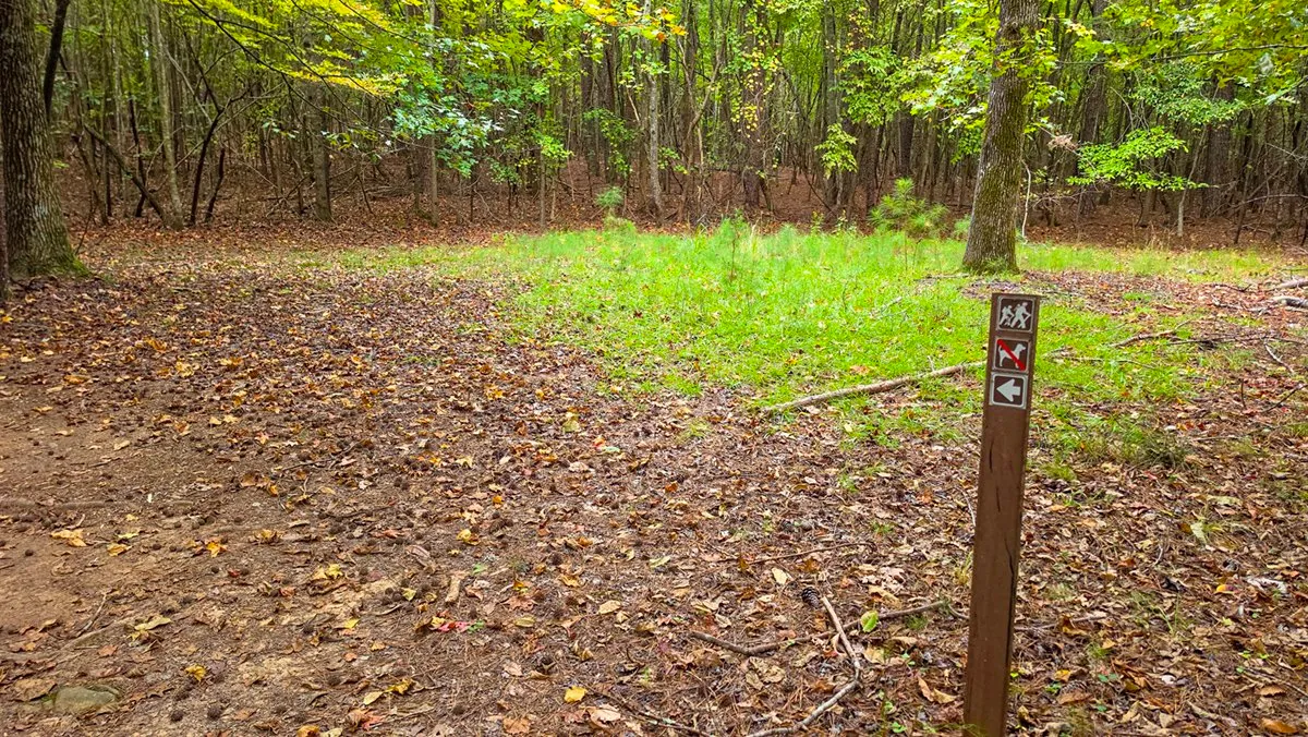A brown trail post with signs for hikers, no dogs and an arrow pointing left, at the edge of a clearing