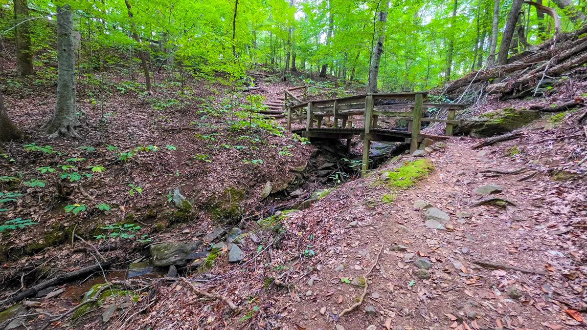 A wooden footbridge with railings over a rocky stream bed in the woods