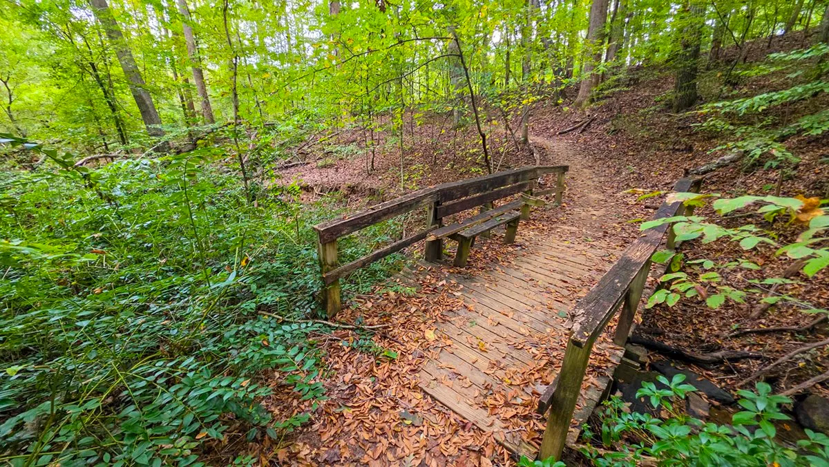 A worn wooden footbridge covered in leaves, its railing weathered gray