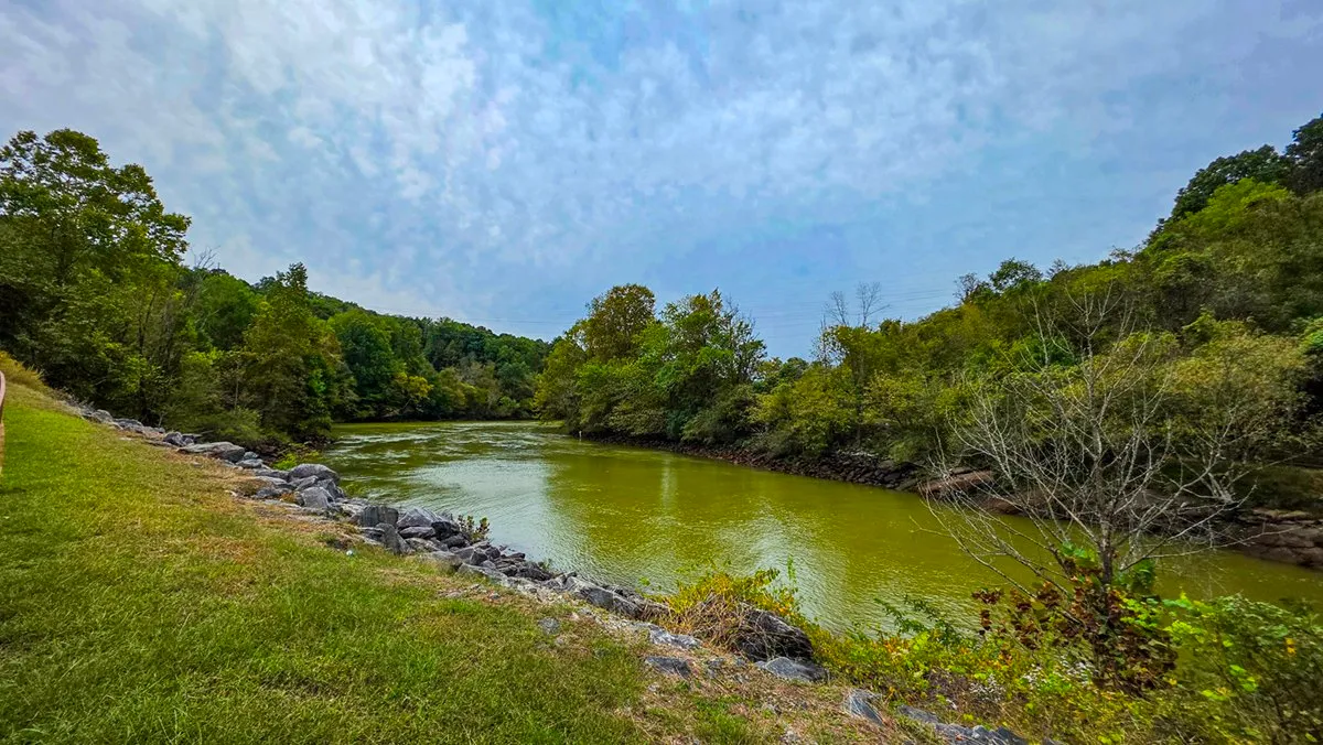 The green Chattahoochee below the dam between wooded banks, rocks lining the near bank