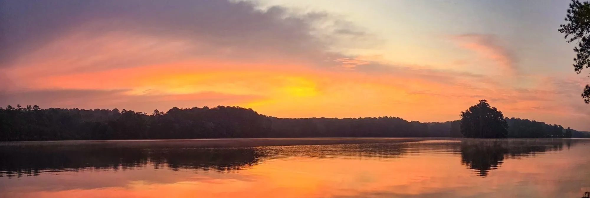 The reference view from the Indian Island dock: the treeline across the lake as one wide strip, bearing running left to right