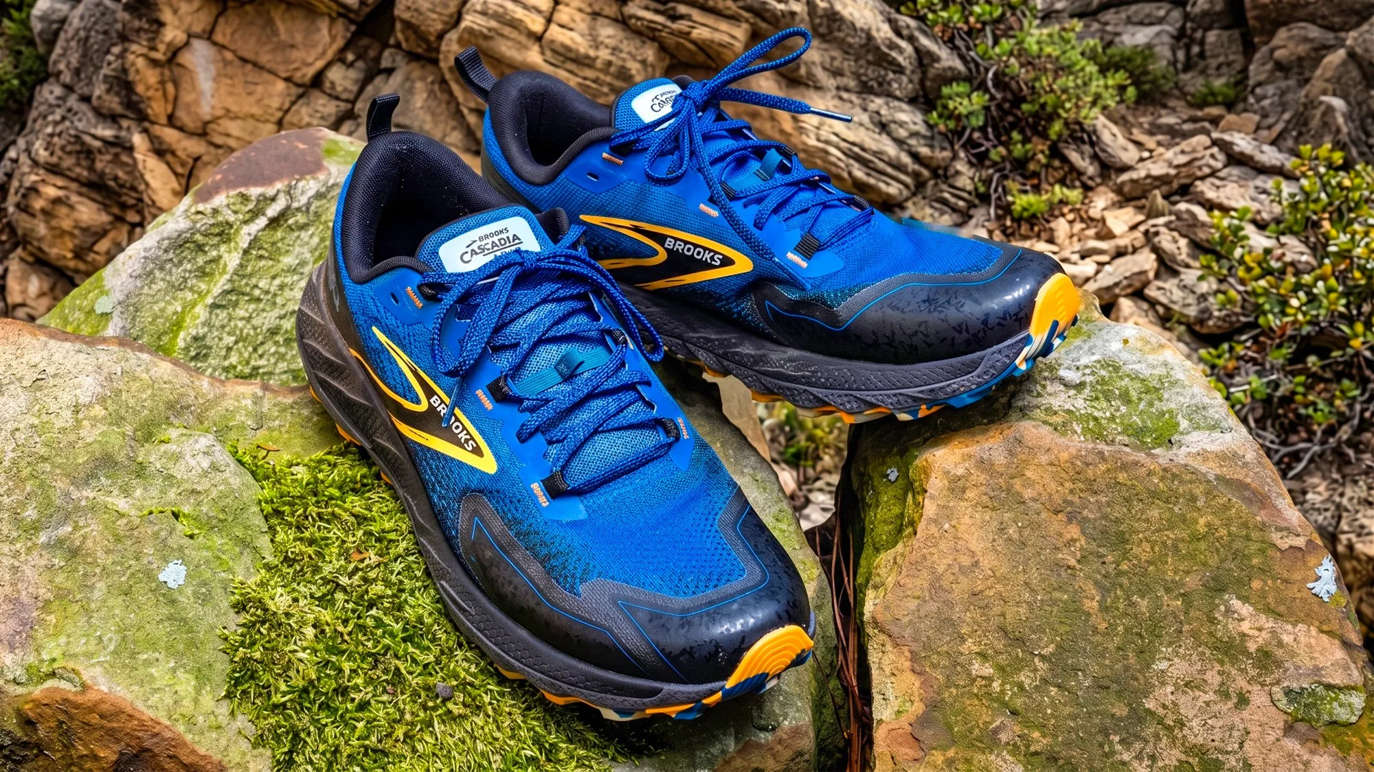 A pair of Brooks Cascadia 18 trail shoes, blue upper with the yellow Brooks mark and an orange outsole, set on mossy rock