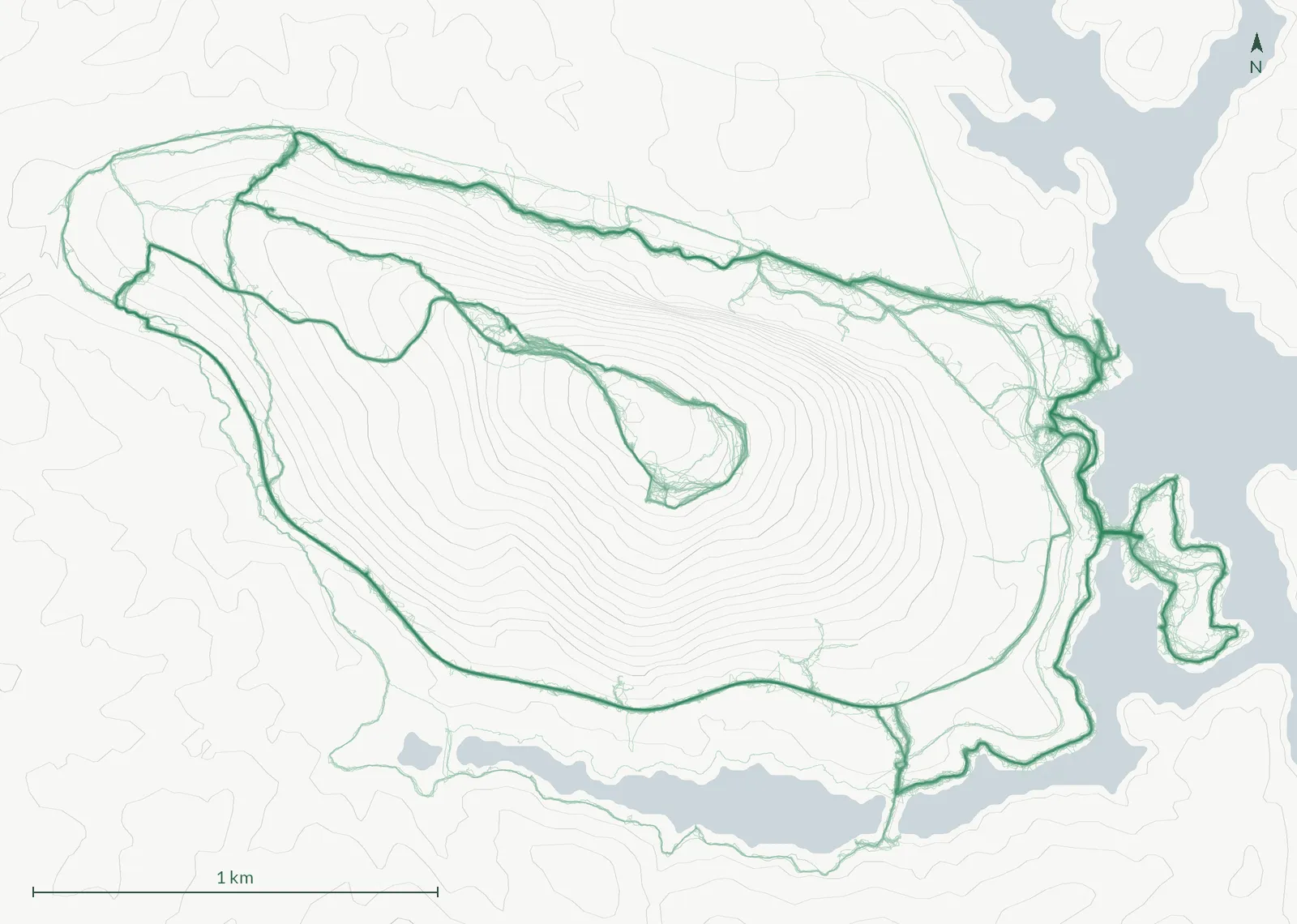 Every one of 119 recorded mornings on Cherokee Trail, Stone Mountain overlaid on one map, the line darker where more mornings walked