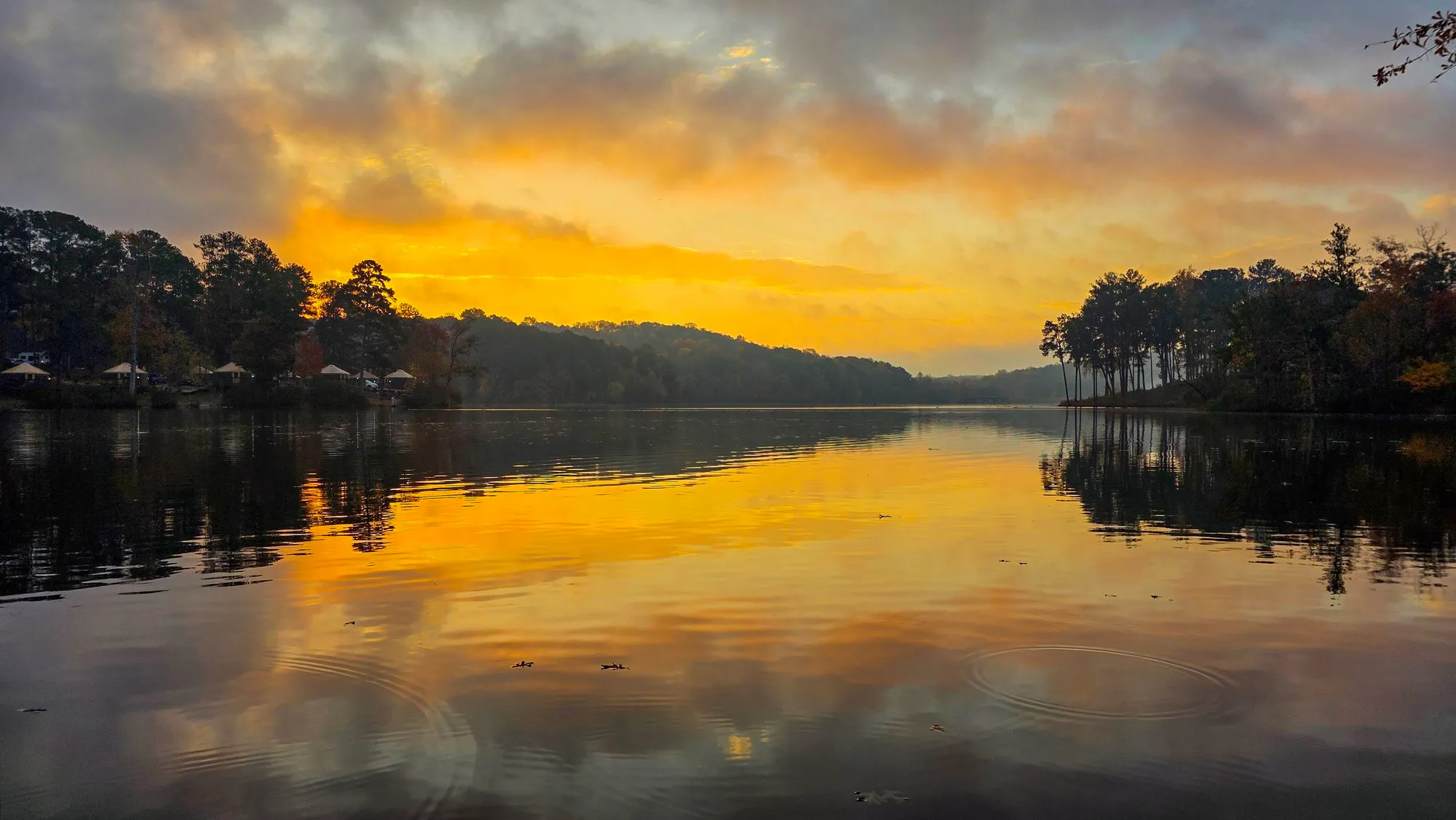 Gold and gray sky after sunrise over the far shore, tall pines on the right, the water still and gold
