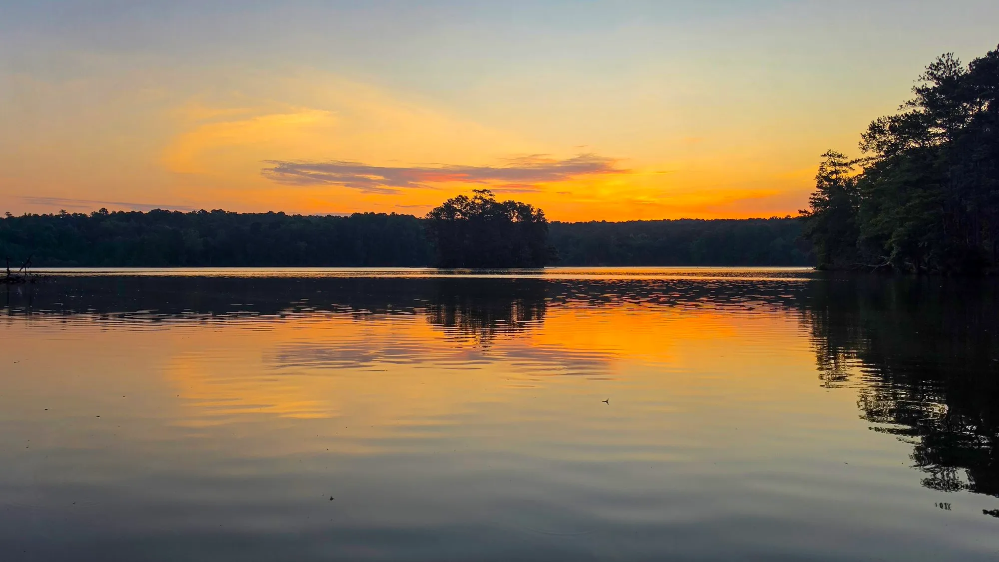Gold and orange sky at sunrise over a dark tree line, a few gray cloud bars, the lake calm and reflecting the gold