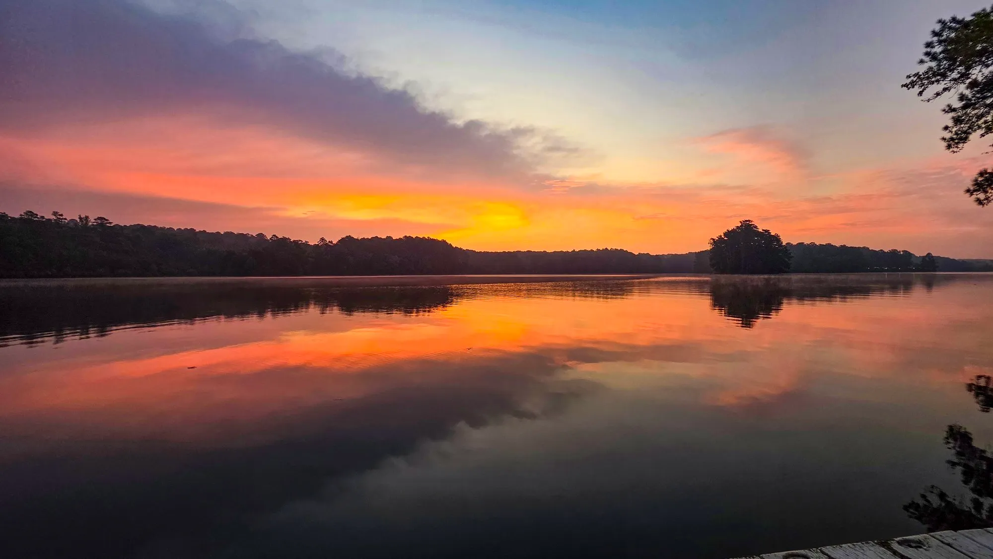 Pink cloud over the lake before sunrise, a wooded point on the right, the water still