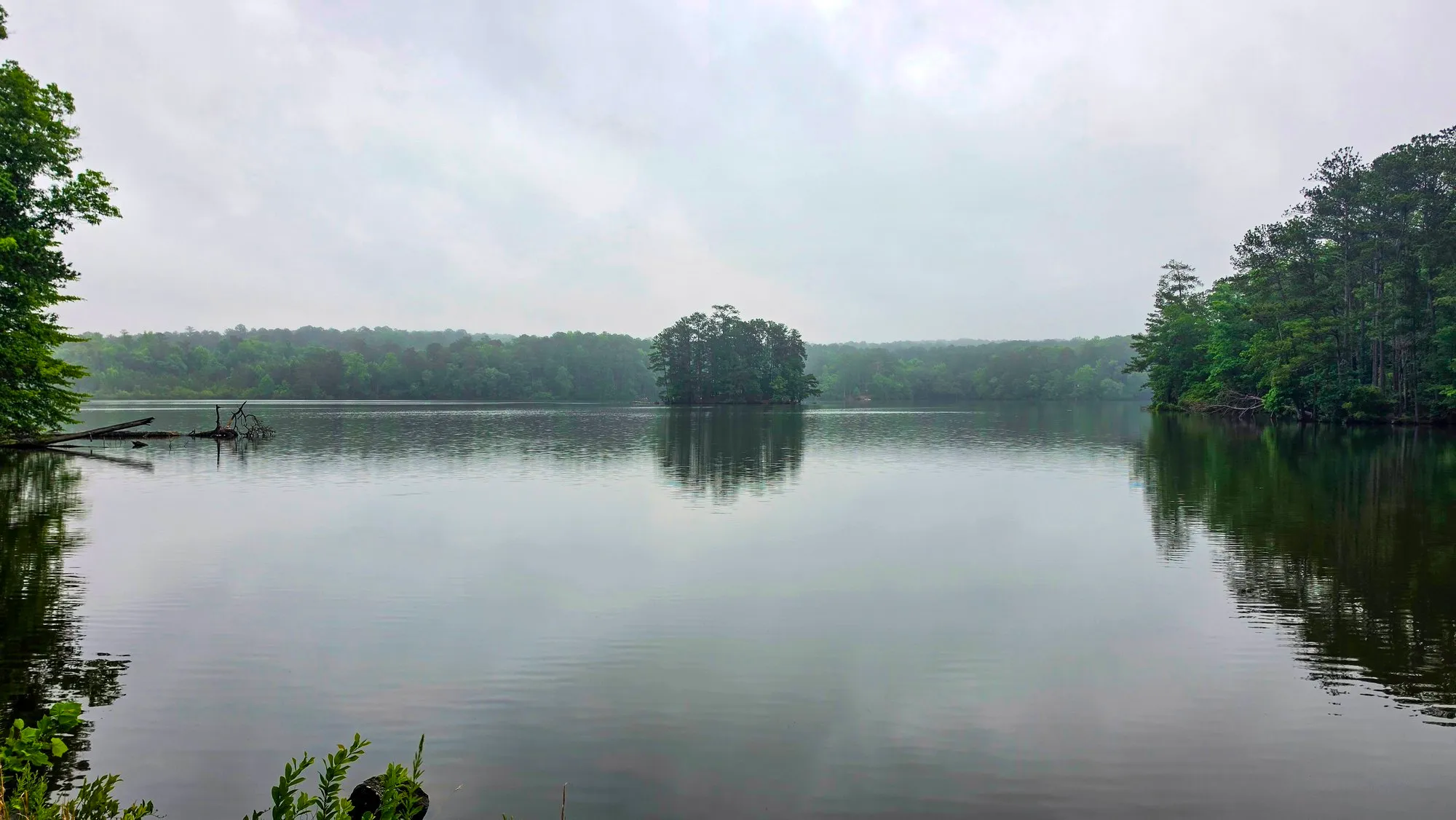 Overcast gray morning on the lake after sunrise, a wooded island in flat gray water, green shore on both sides
