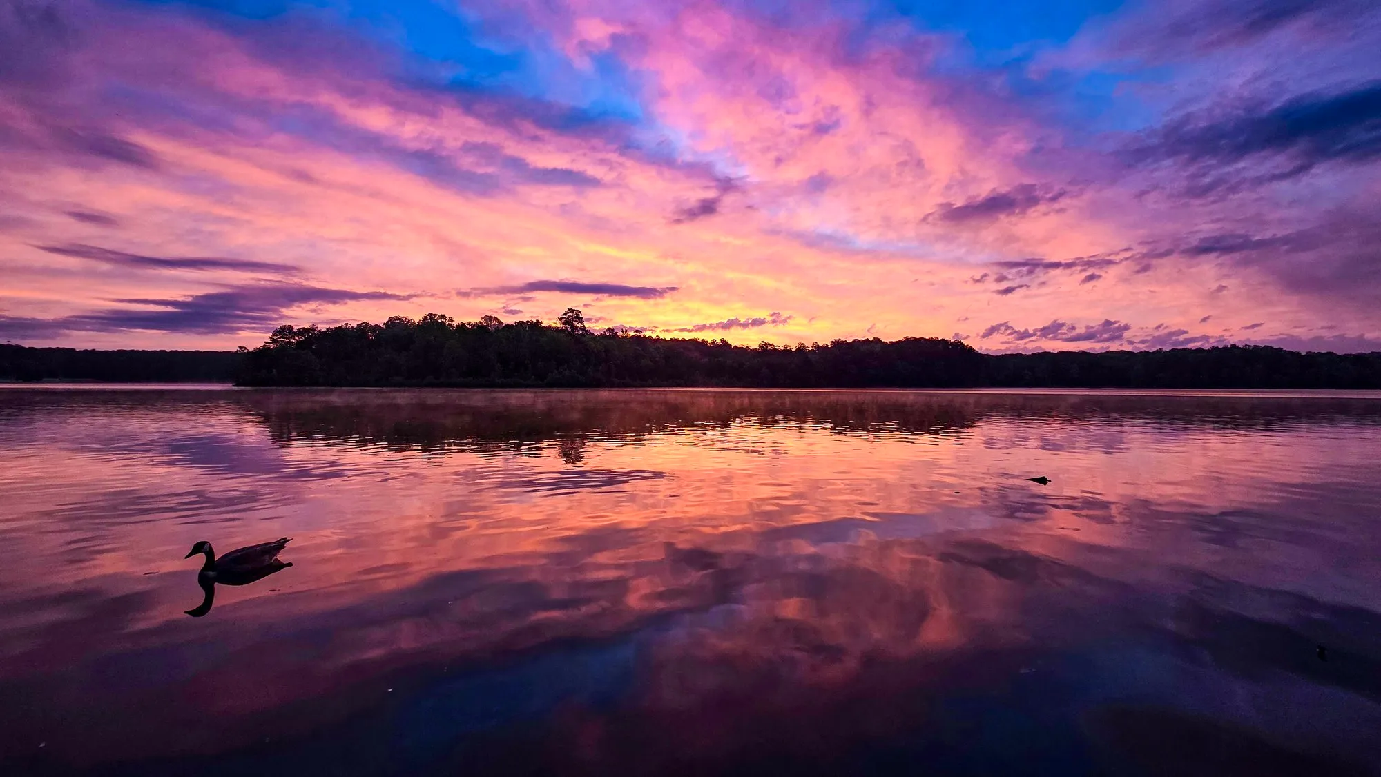 Pink and purple cloud streaks over the lake before sunrise, two geese on the water, the sky mirrored