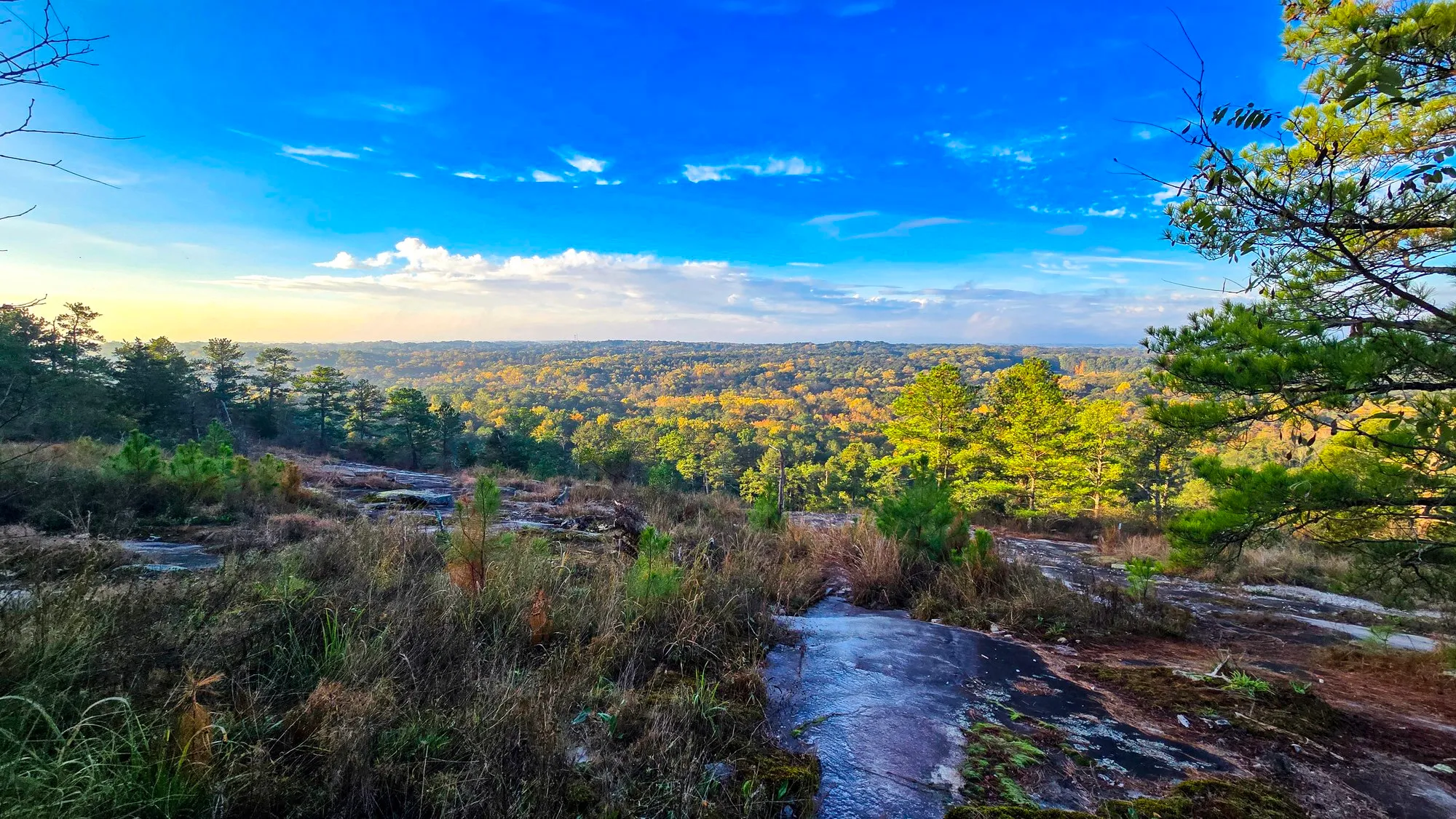Blue sky over the granite top of Stone Mountain an hour after sunrise, dry grass and pines at the edge, the wooded plain below