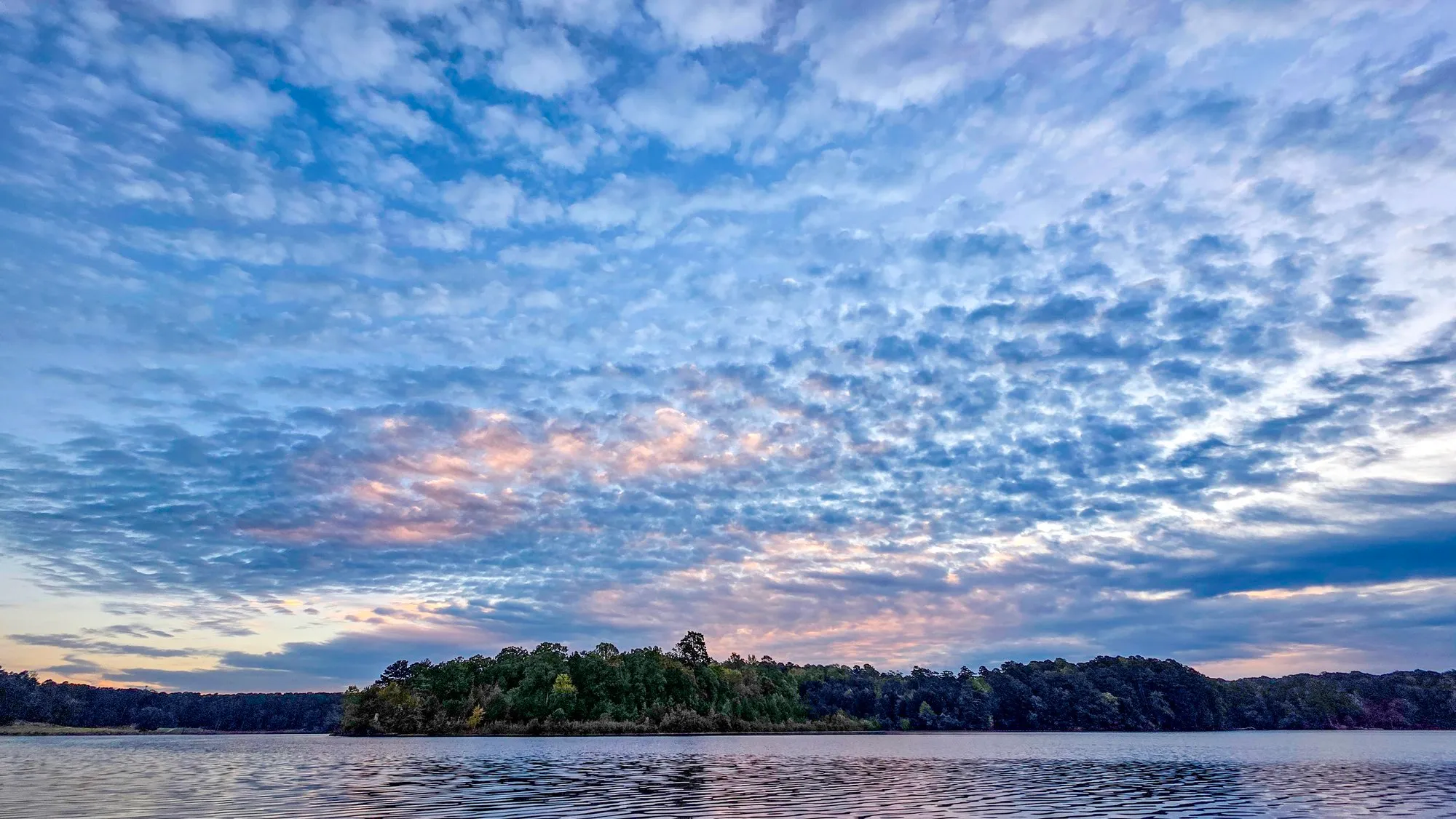 Blue sky packed with small puffed cloud lit pink and gold just after sunrise, a wooded island below