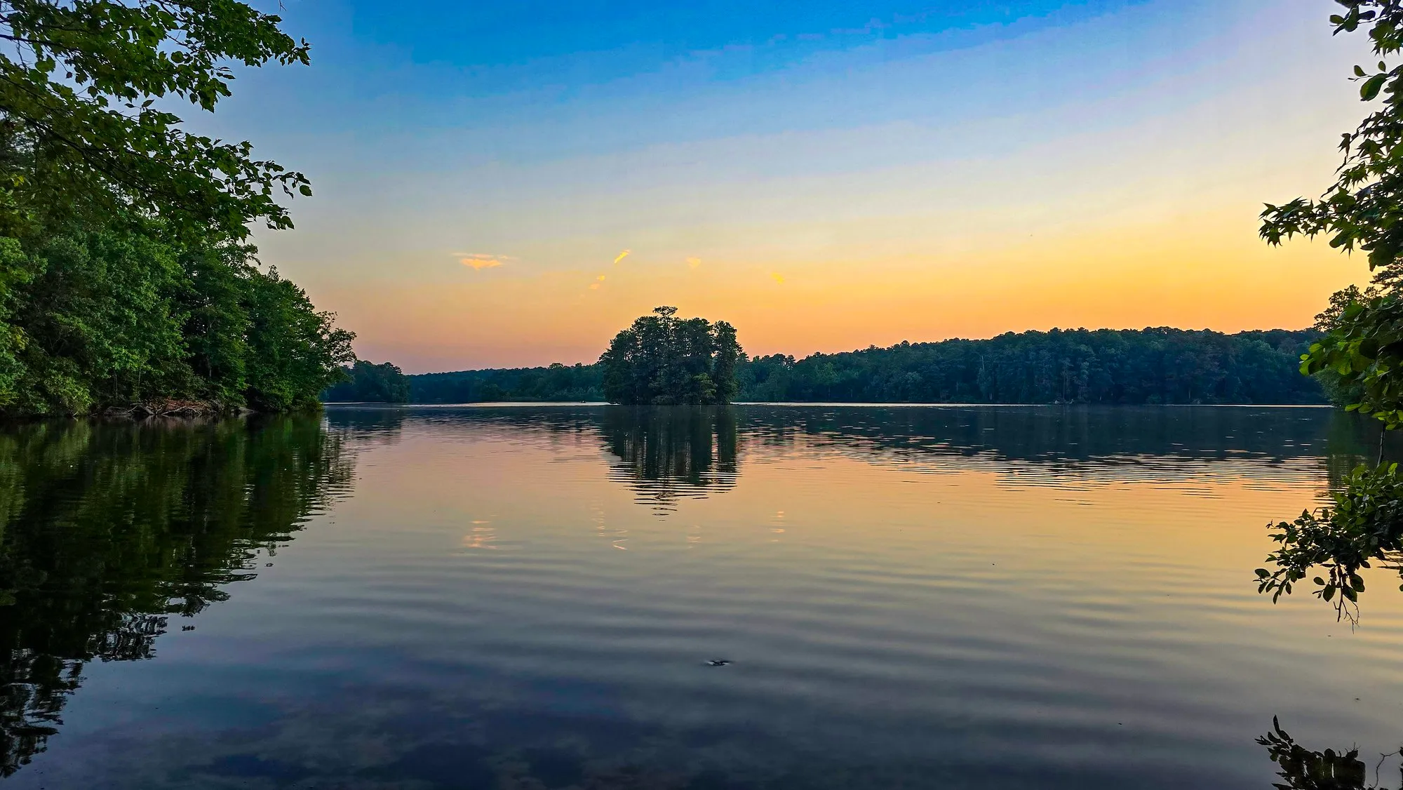 Pale gold dawn behind a wooded island, tree branches framing the top, the lake still