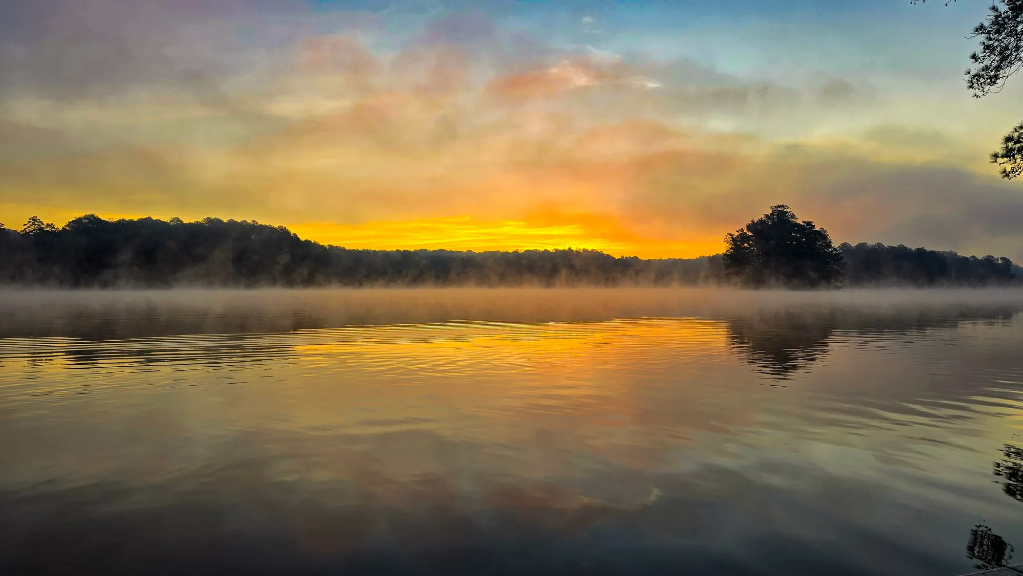 Gold dawn behind the far shore with mist on the lake, a wooded point on the right, the water calm