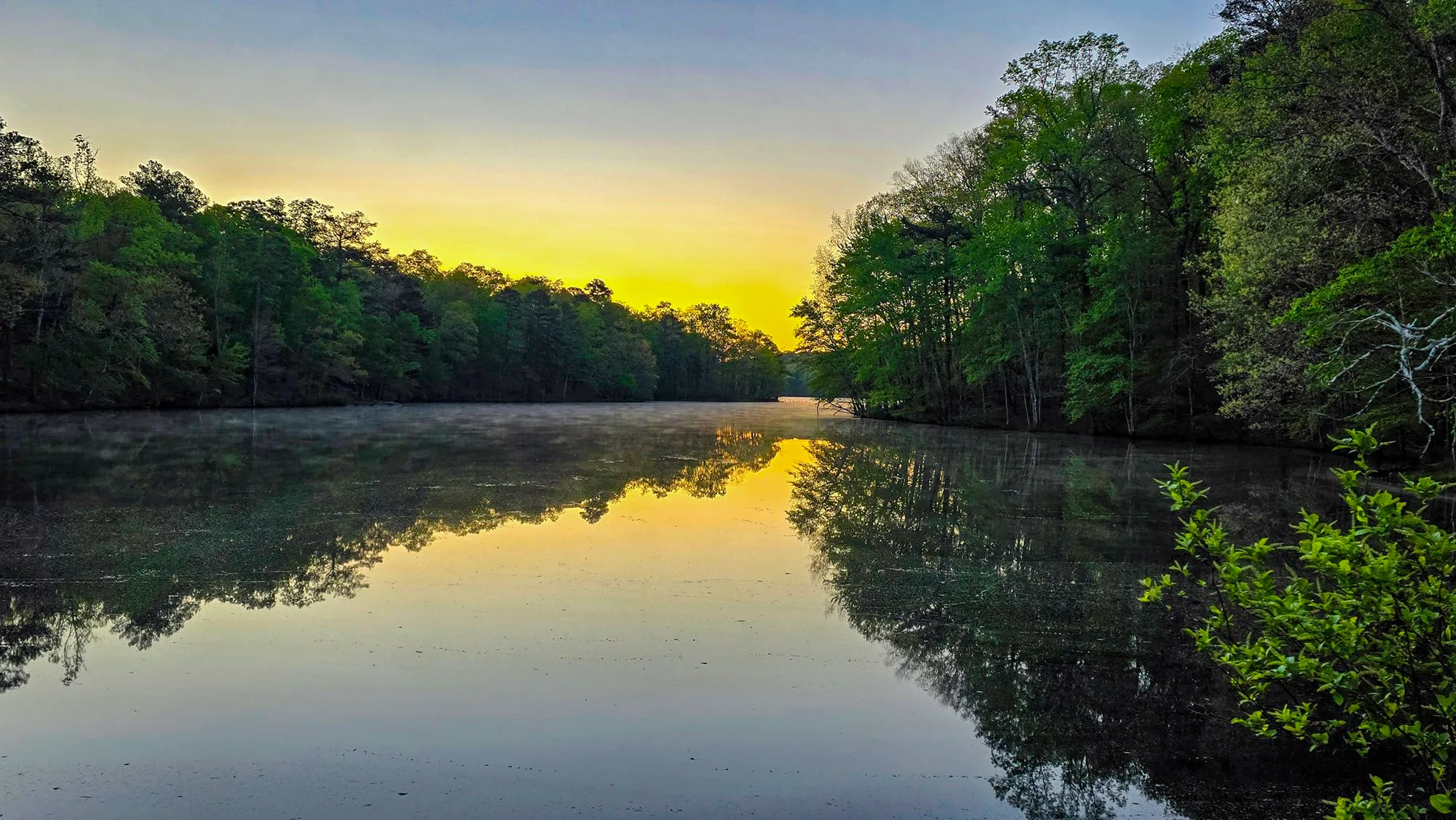 A yellow glow low in a cove of the lake before sunrise, mist on the still water, the green shores mirrored in it