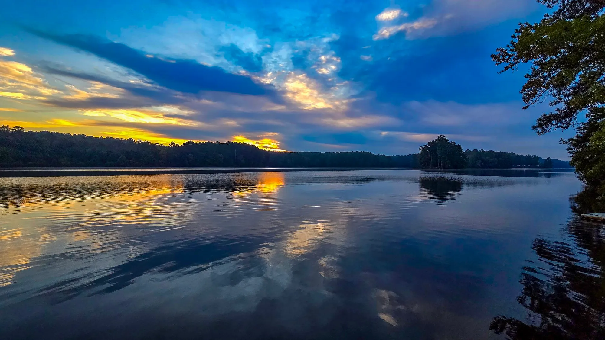 Blue and gold cloud over the far shore after sunrise, mirrored in the lake, a tree at the top right