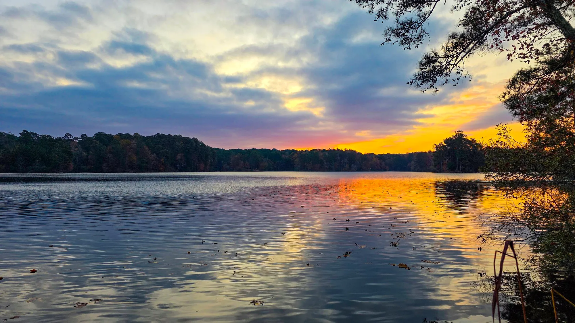 Mottled gray cloud with a glow of gold and pink at the far shore just after sunrise, the lake rippled, an overhanging branch top right