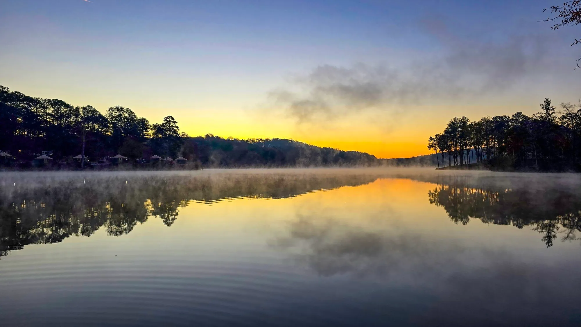 Gold dawn behind a dark tree line with a drift of gray cloud, mist on the lake, ripples below