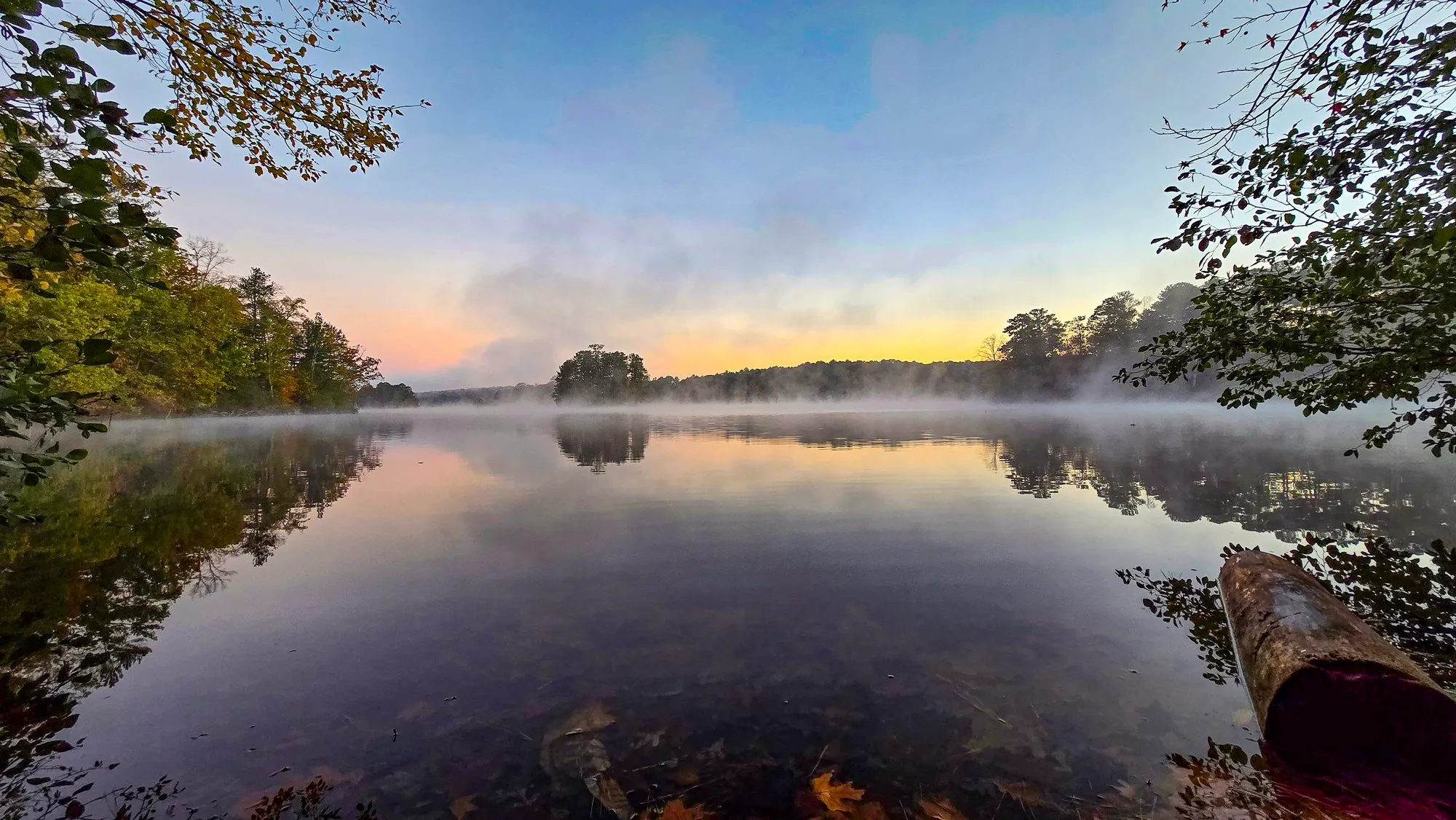 Fog on the lake before sunrise under pale gold light, a wooded island ahead, leaves framing the top