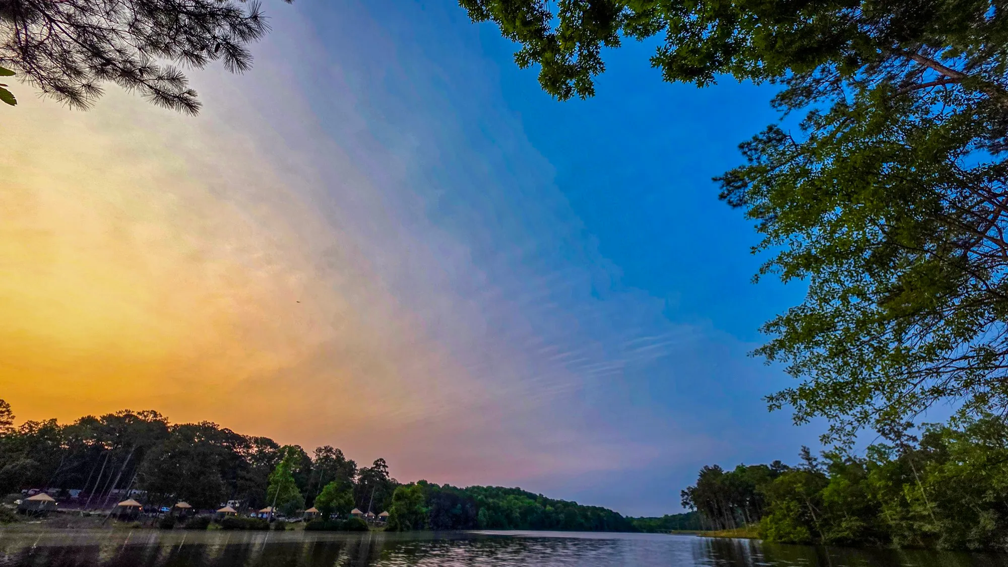 Gold and blue sky seen upward through tree branches after sunrise, the lake and far shore at the bottom of the frame