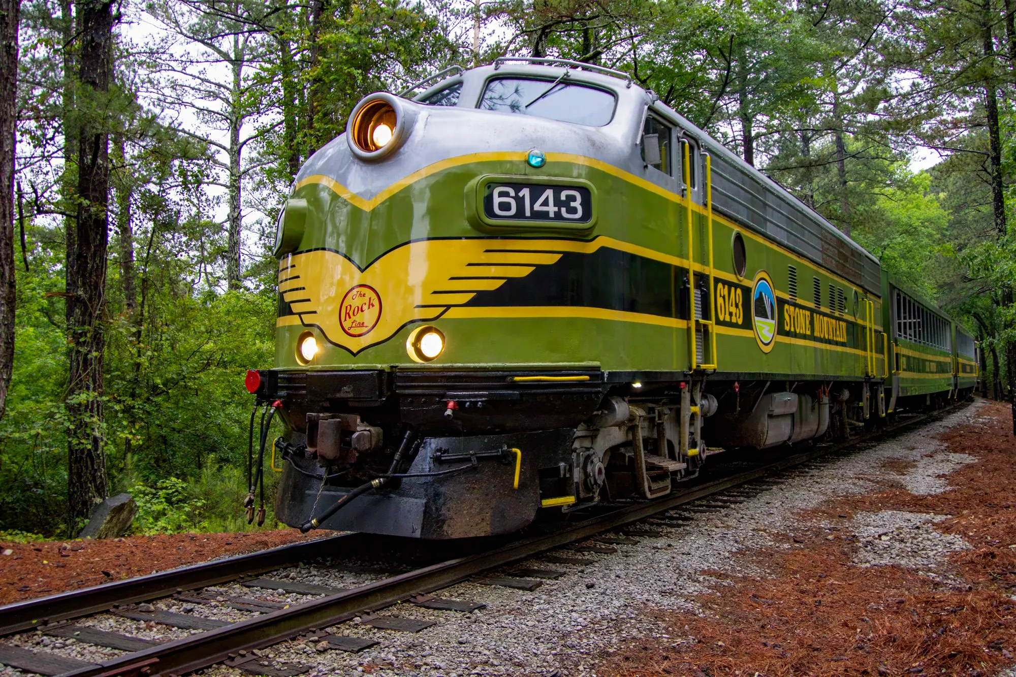 The park's green and yellow Stone Mountain train, locomotive 6143, coming down the tracks through the pines with its headlights on