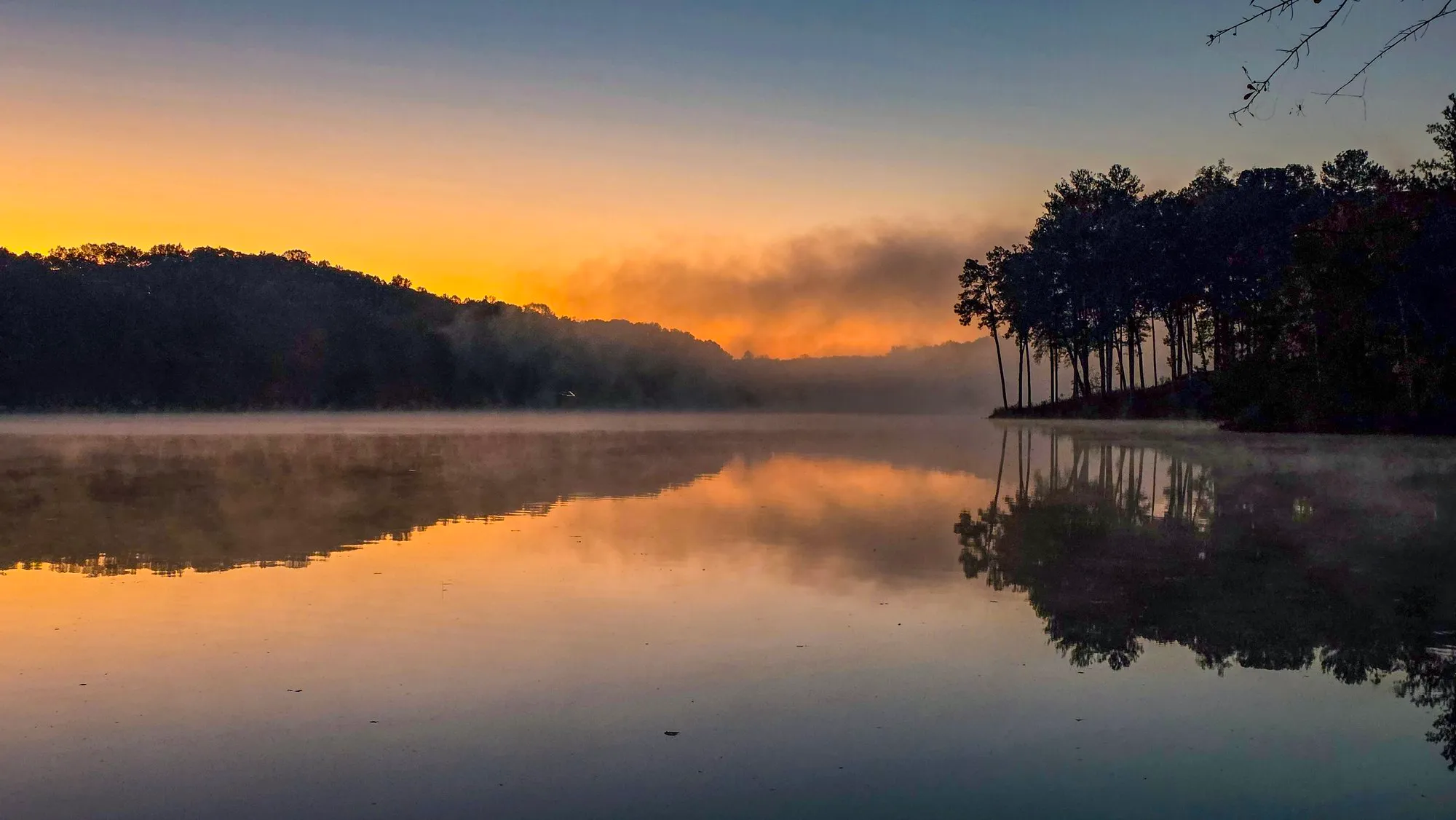 Fog on the water under a gold band of dawn light, tall pines on the right shore, the far ridge dark