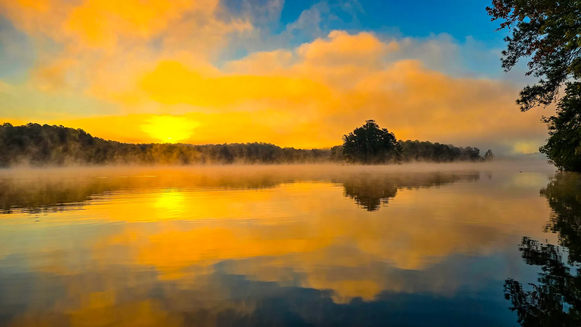Gold sun breaking through mist on the lake after sunrise, a wooded island in silhouette, fog lying on the water