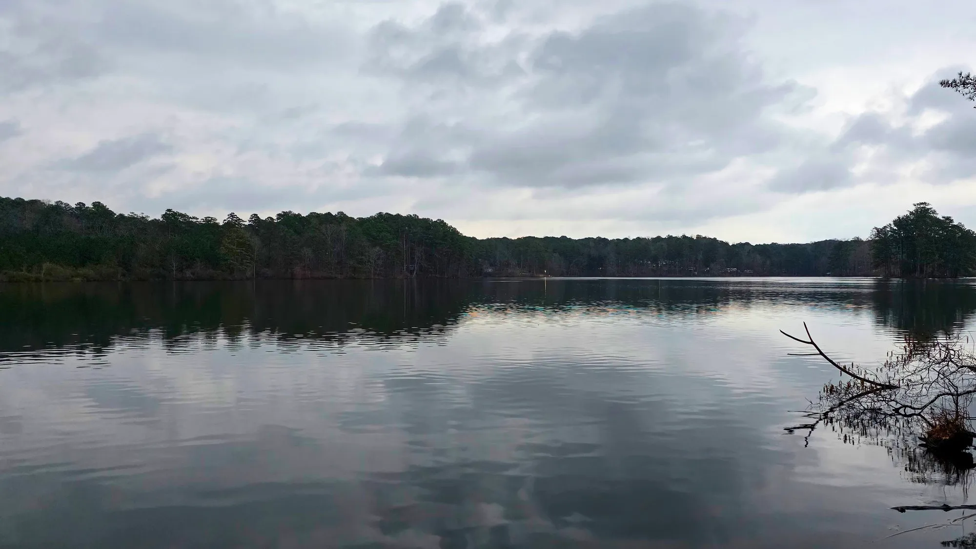 Flat gray overcast over the lake at sunrise, the far tree line dark and low, bare branches at the water's edge on the right