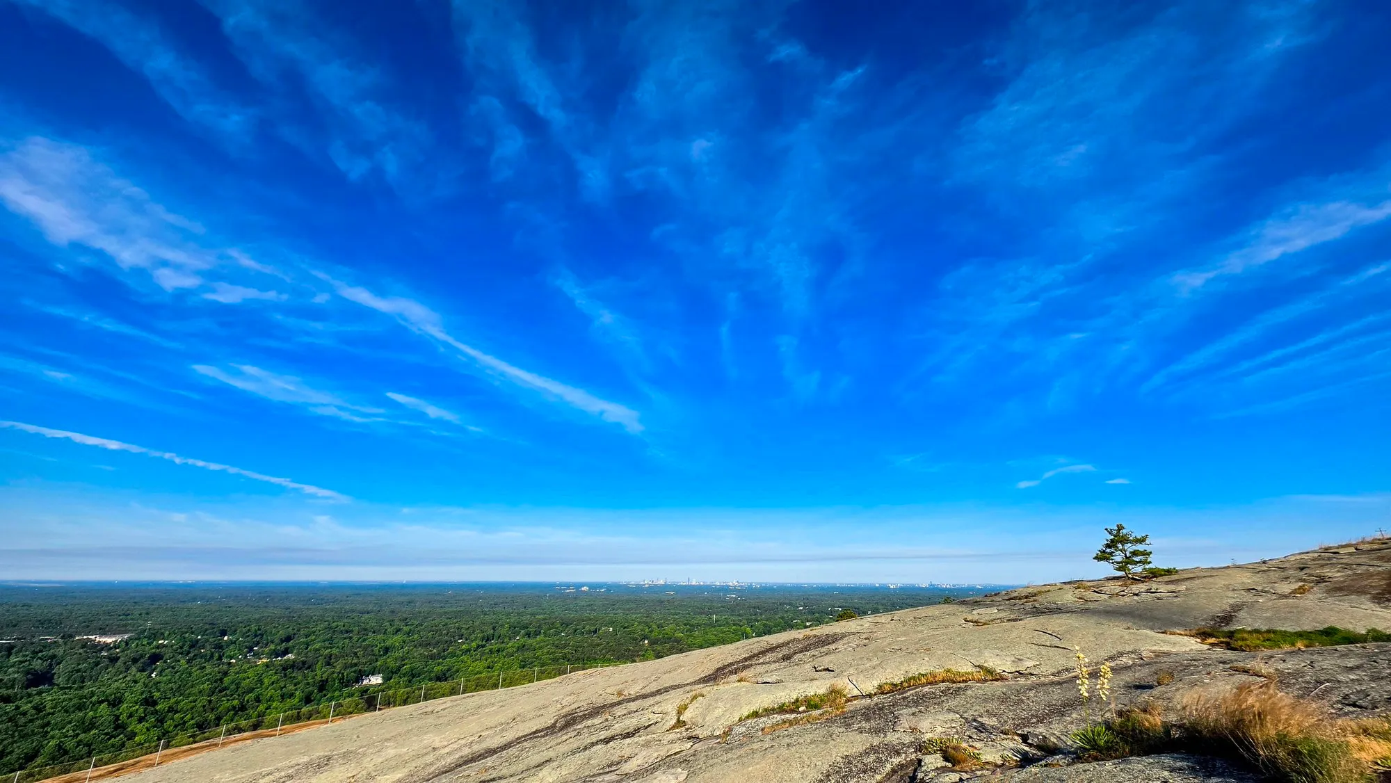 Deep blue sky with streaks of white cloud over the granite top of Stone Mountain, a lone pine and the wooded plain far below